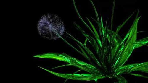 Videohive - Dandelion Seeds Botanical 3D Rendering - 35826873