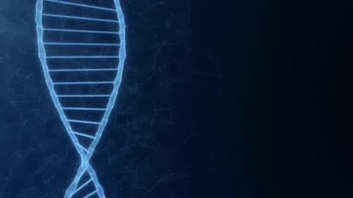 Videohive - Dna Molecule Background with Copy Space for Scientific and Biotechnology Project - 35808172