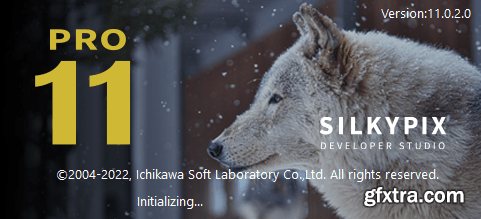 SILKYPIX Developer Studio Pro 11.0.2.0 Portable