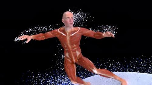 Videohive - 4K 3D anatomy man surfing - 35919227