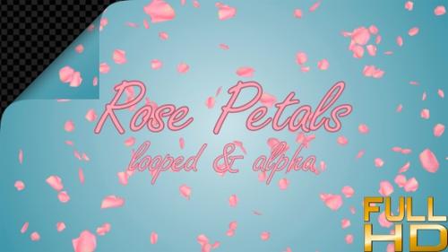 Videohive - Pink Rose Petals For Valentines Day - 35920107