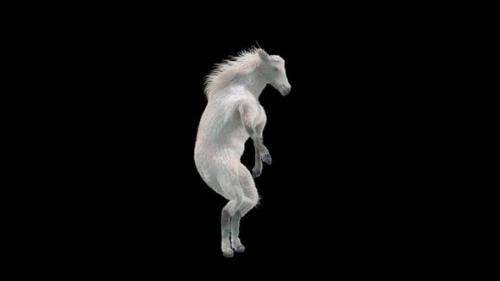 Videohive - 30 White Horse Dancing HD - 35881331