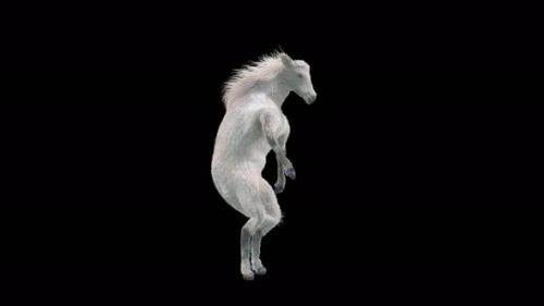 Videohive - 30 White Horse Dancing 4K - 35881332