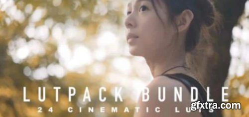 LutPacks Bundle (ALL 24 LUTs) HungKai Chen (HKC)