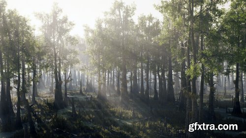 Unreal Engine – Bald Cypress Swamp