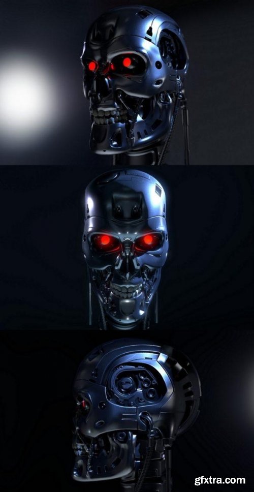 Terminator 2 Judgement Day Skull