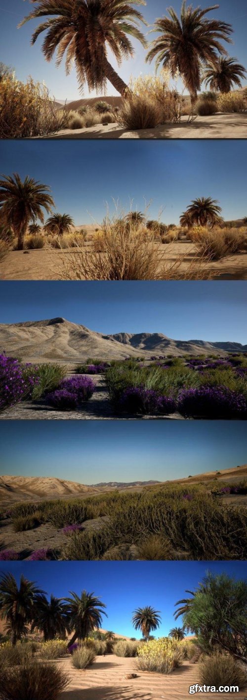 Unreal Engine – Desert Vegetation
