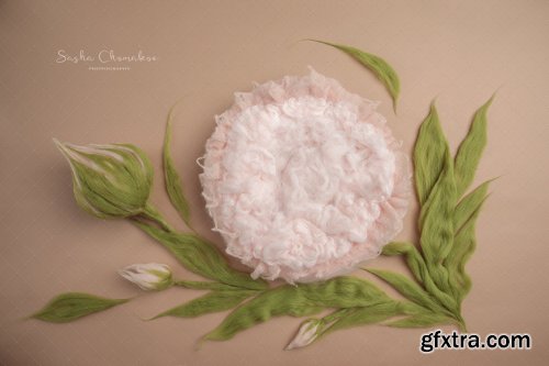 Sasha Chomakov - Newborn Digital Backdrop - Flower