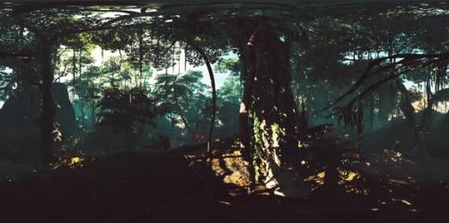 Videohive - VR360 Deep Tropical Jungles of Asia - 36044962