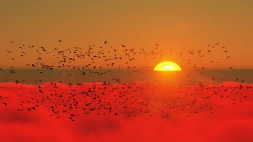 Videohive - Sunset View from Above the Clouds and Flock of Birds - 35981350