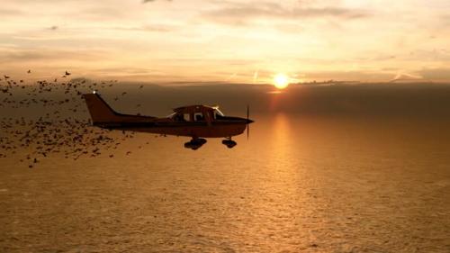 Videohive - Old Plane Plunging into a Flock of Birds at Sunset - 35981354