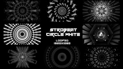 Videohive - Strobeat Circle White Background VJ Pack - 20031460