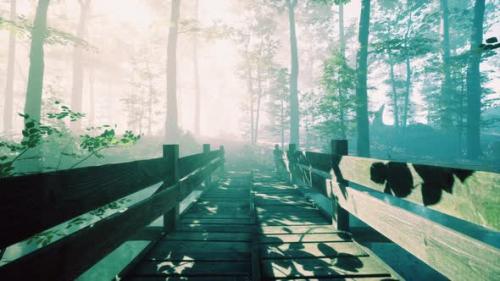 Videohive - Wooden Bridge Into Forest with River - 36099845