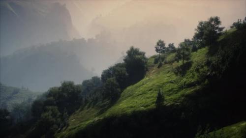Videohive - Green Trees in Canyon at Sunset with Fog - 36102592