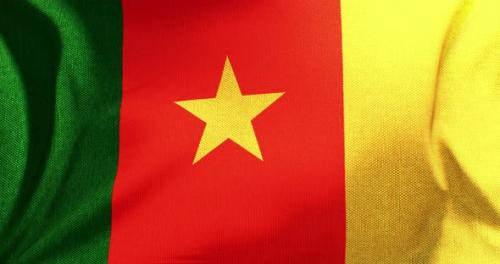 Videohive - Cameroon - Flag - 4K - 36075547