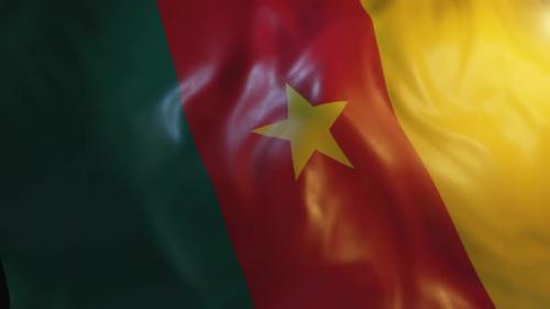 Videohive - Cameroon Flag - 36242145