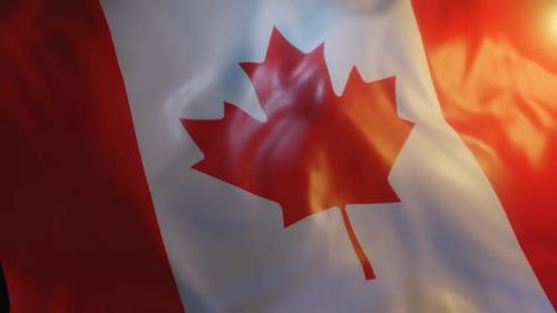 Videohive - Canada Flag - 36266529