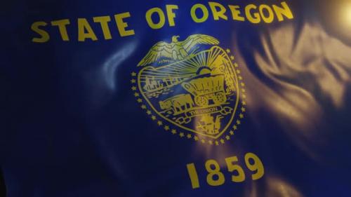 Videohive - Oregon State Flag - 36277465