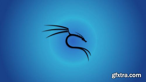 Learn Ethical Hacking Process with Kali Linux