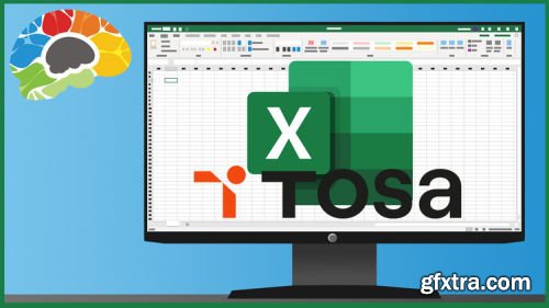 Learning Excel 365 - Advanced (TOSA)