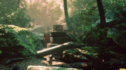 Videohive - Old Used Wheels in the Tropical Forest As Pollution Concept - 36335782