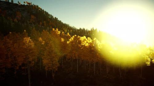 Videohive - Bright Sunset in the Mountains - 36337090