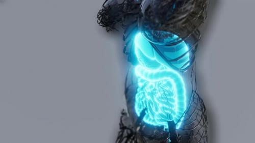 Videohive - Transparent Human Body with Visible Digestive System - 36396200