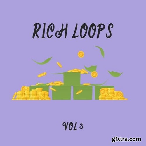 DiyMusicBiz Rich Loop Vol 3 WAV
