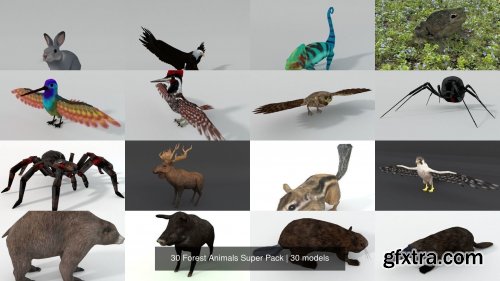 CGTrader - 30 Forest Animals Super Pack 3D Model Collection
