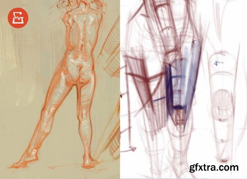 Figure drawing - FORM/STRUCTURE