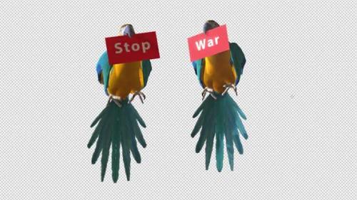 Videohive - Parrots Carry Stop War Placard - 36403433