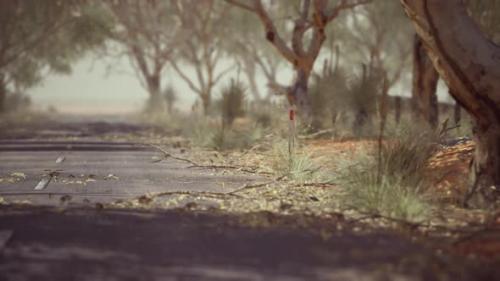 Videohive - Open Road in Australia with Bush Trees - 36456992