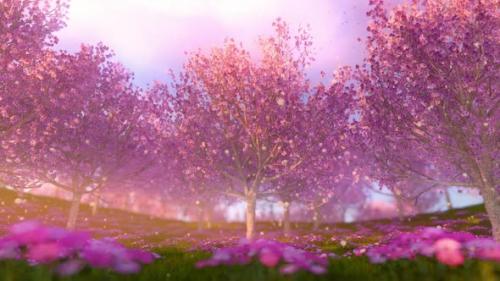 Videohive - Cherry Trees And Dandelions - 36458944