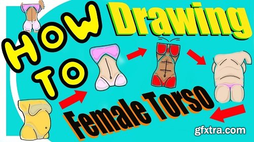 Learn To Draw a Female Torso (For Artists)