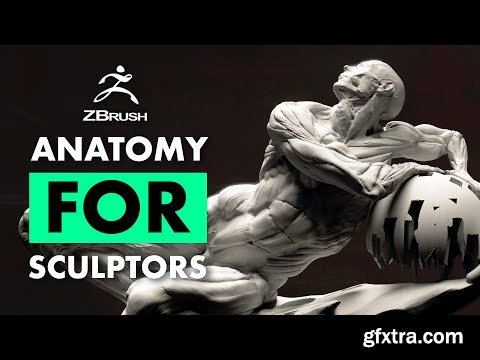 FlippedNormals - Fundamental Anatomy for Sculptors