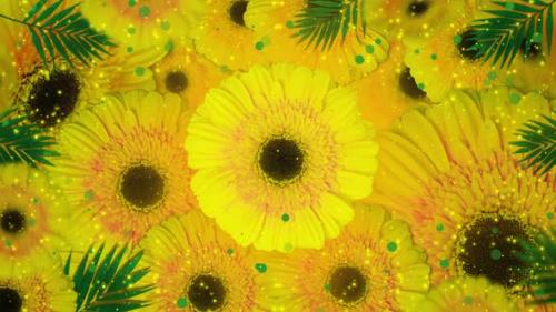 Videohive - Background of yellow flowers - 36591477