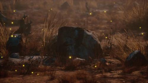 Videohive - Dry Landscape with Grass Stones and Fireflies - 36632765