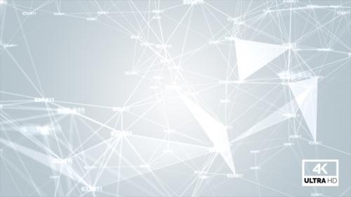 Videohive - Plexus Abstract Network Technology Science Background White V1 - 36678153