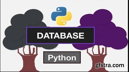 Python Database: Quickly learn Python Database