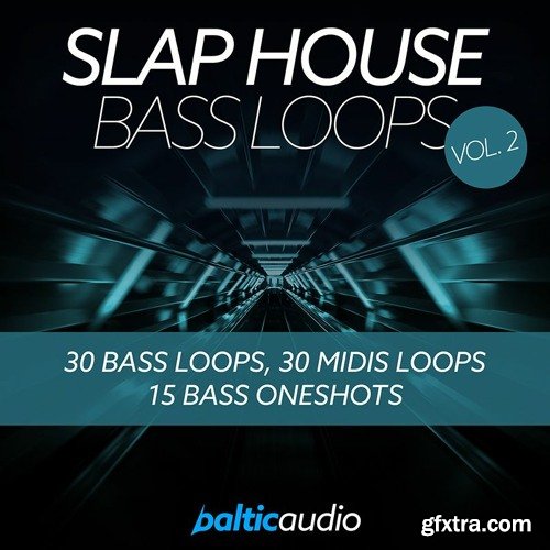 Baltic Audio Slap House Bass Loops Vol 2 WAV MiDi
