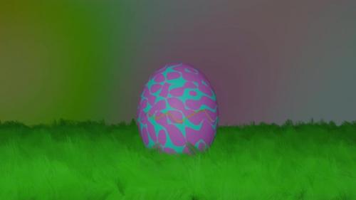 Videohive - Easter Egg Chicken - 36698379