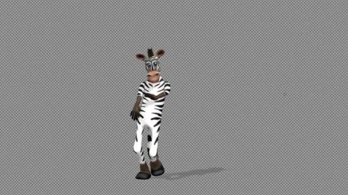 Videohive - Toon Zebra Samba Dance - 36754756