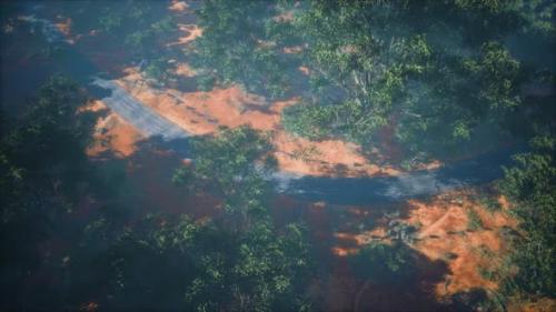 Videohive - Drone Shot Aerial View or Road in Old Forest Woods - 36736410