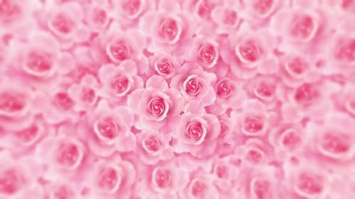 Videohive - Romantic Pink Rose Flower Background Love Romantic Wedding Motion Background Loop - 36806504