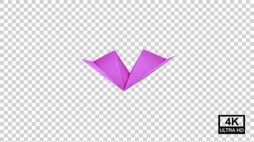 Videohive - Paper Plane Floating On The Air Pink V3 - 36752092