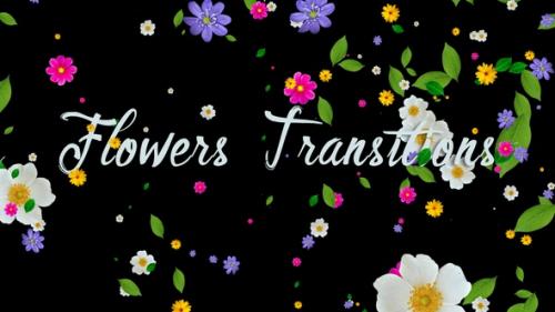 Videohive - Flowers Transitions - 36782935