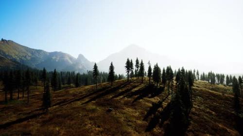 Videohive - Aerial View Over Mountain Range with Pine Forest in Bavaria - 36782022