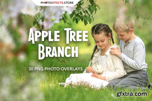 30 Apple Tree Branch Photo Overlays