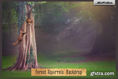 CreativeMarket - Forest Squirrels Backdrop 6120189