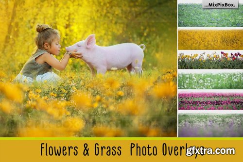 CreativeMarket - Flowers and Grass Overlays 6120187